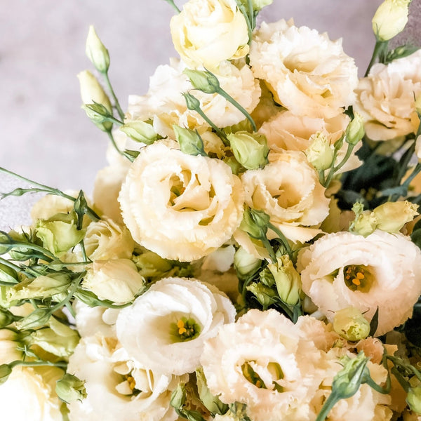 2025 Lisianthus Bouquet Subscription July (4 Weeks)