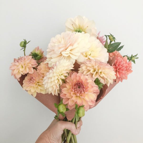 2023 Dahlia Flower Subscription (4 Weeks) Starting October 5