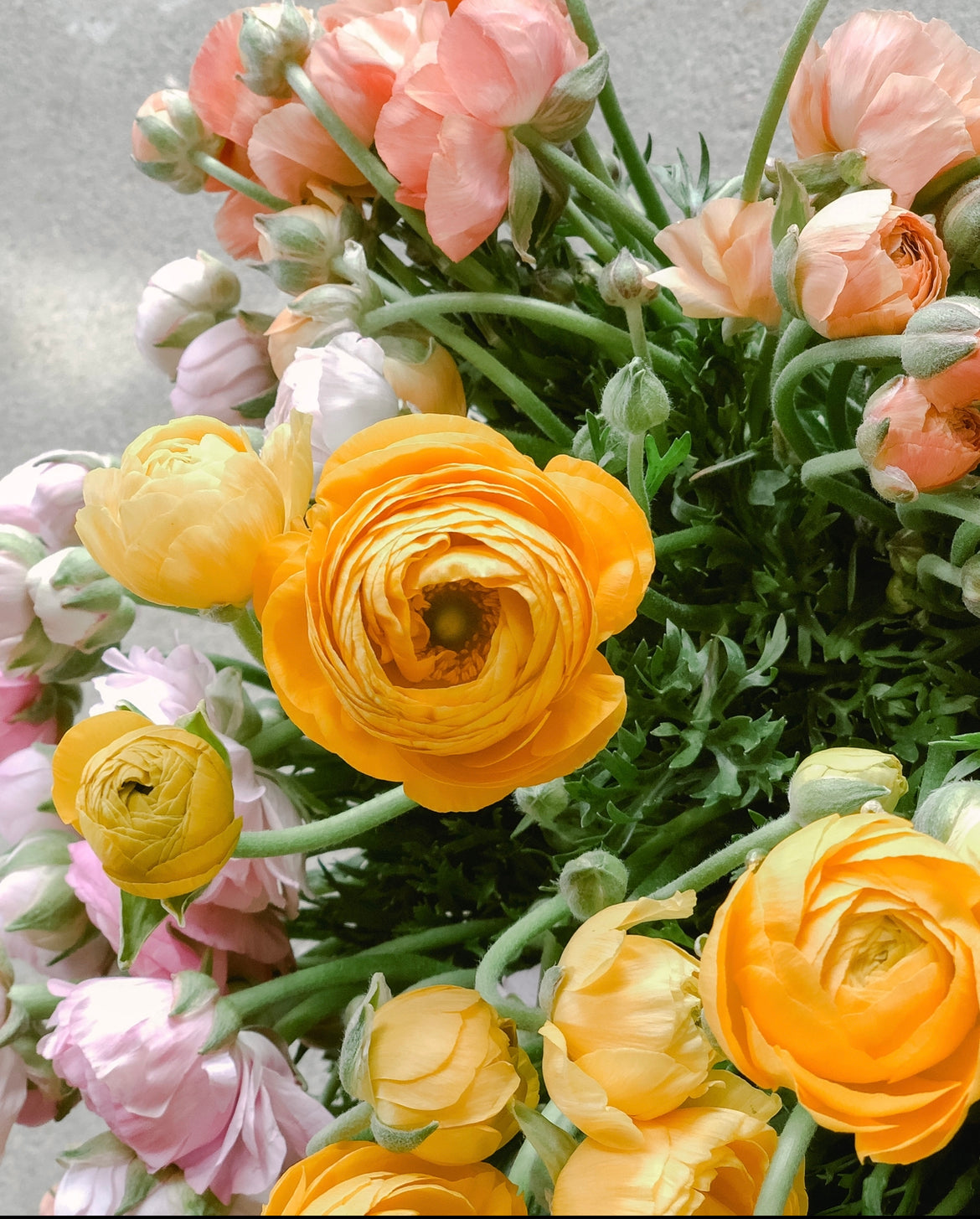 2025 Ranunculus Bouquet Subscription (4 Weeks) Pre-Order